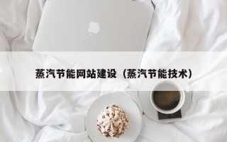 中卫蒸汽节能网站建设（蒸汽节能技术）